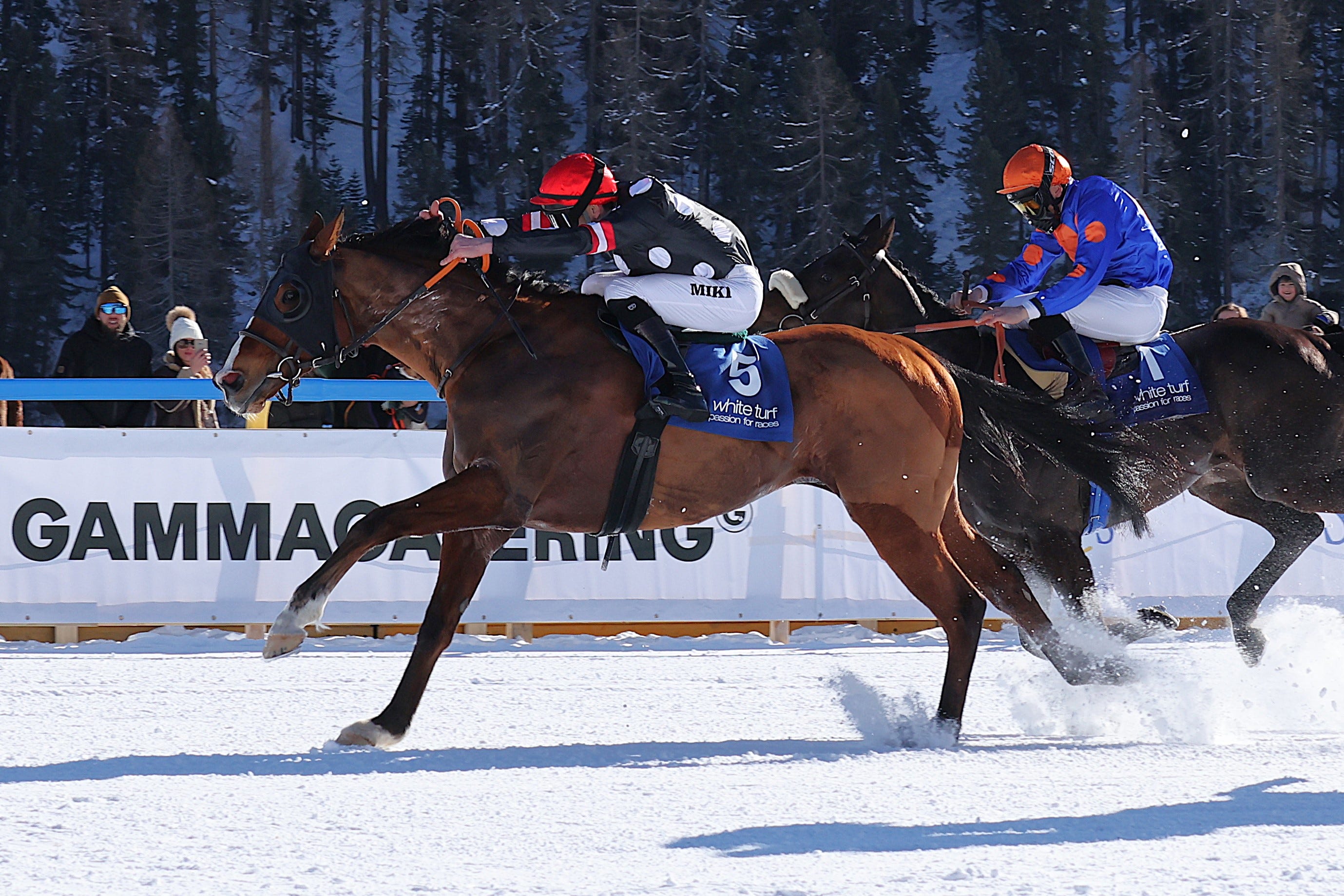 White Turf; The Winter Race That Refused to Melt - Higher Class Editions