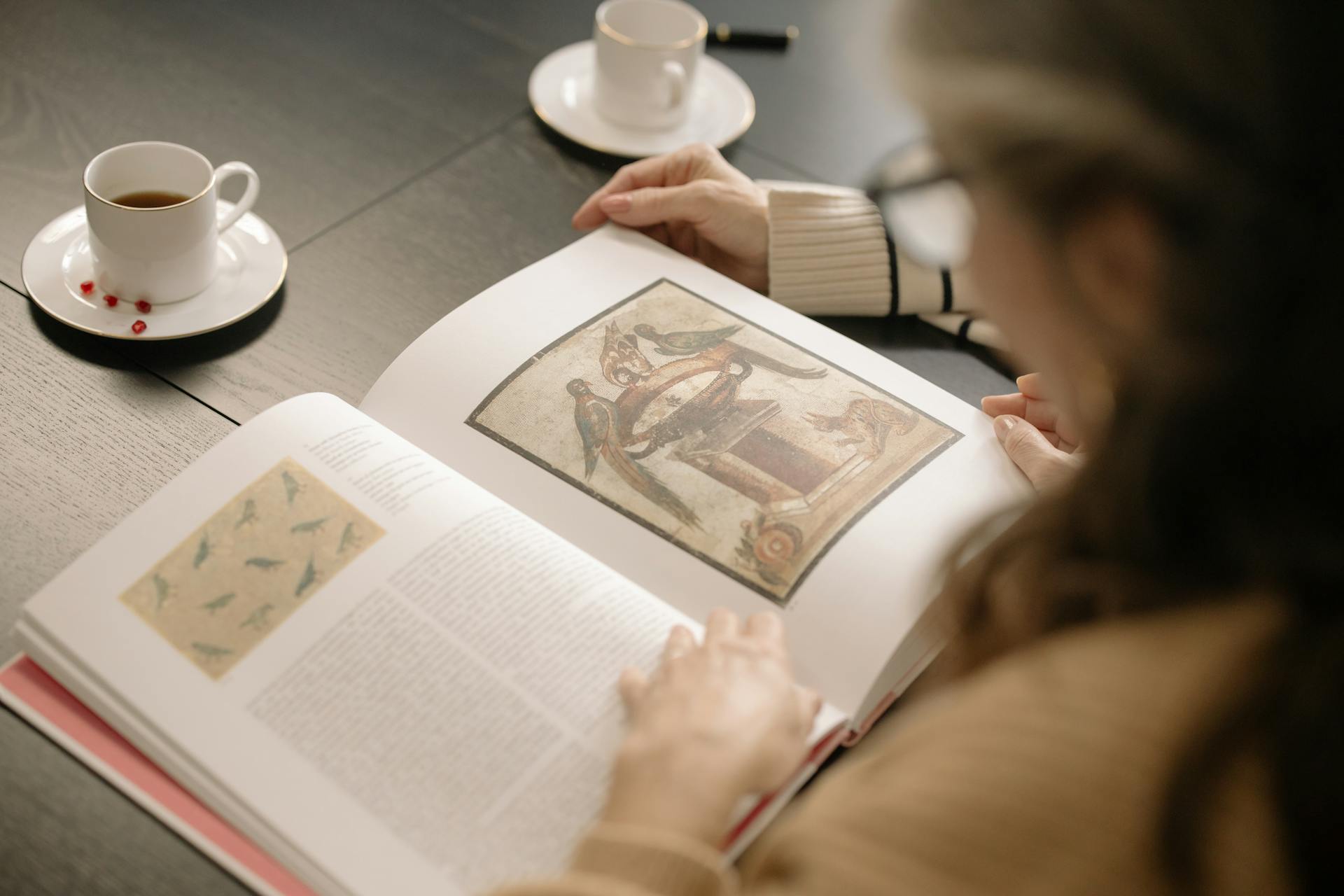 Person Looking at a Book